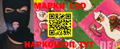 скорость Будённовск
