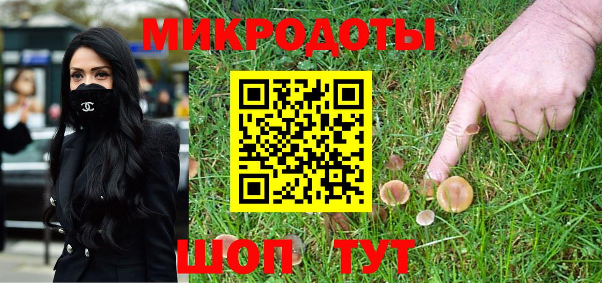 Лесной  Галлюциногенные грибы Cubensis  Галлюциногенные грибы Psilocybe  Вход с VPN 