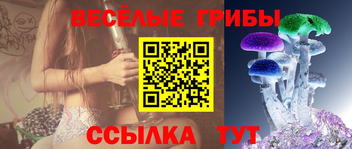 Галлюциногенные грибы Psilocybe Лесной